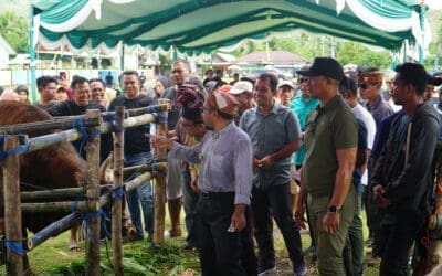 Transformasi Peternakan Buru Dimulai: Transfer Embrio dan Teknologi Modern Diluncurkan di Festival Hewan Ternak